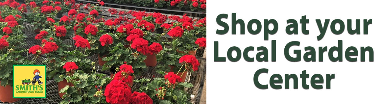 Smiths Garden Town garden smith s gardentown wichita falls Smiths Garden Town garden smith s gardentown wichita falls